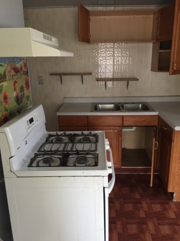 357 Spring St, Joliet, IL 60435 photo 5