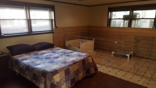2249 S Wolf Rd, Des Plaines, IL 60018 photo 6