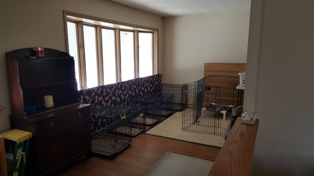 2249 S Wolf Rd, Des Plaines, IL 60018 photo 4