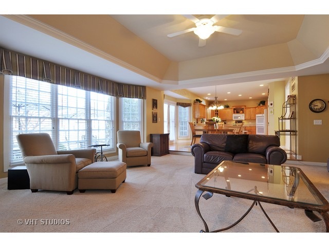 24664 Jolee Ct, Plainfield, IL 60544 photo 10