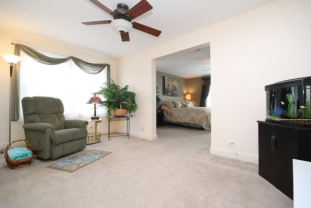 1115 E Lowden Ave, Wheaton, IL 60189 photo 19