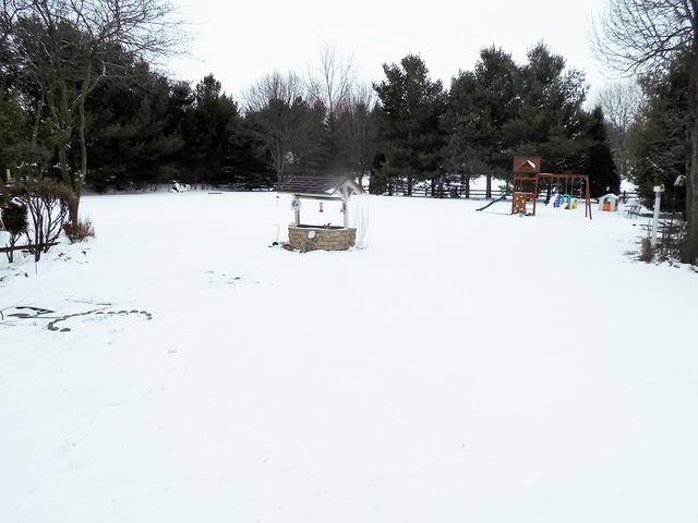 9701 Bonner Ln, Spring Grove, IL 60081 photo 23