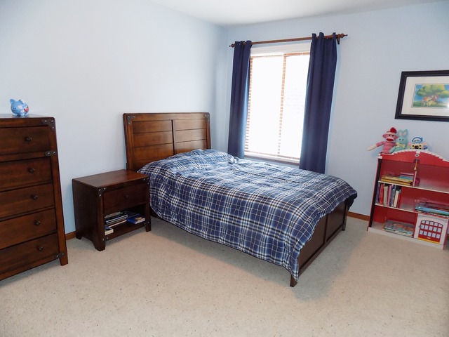 9701 Bonner Ln, Spring Grove, IL 60081 photo 10