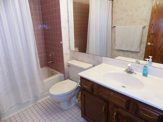 9701 Bonner Ln, Spring Grove, IL 60081 photo 11
