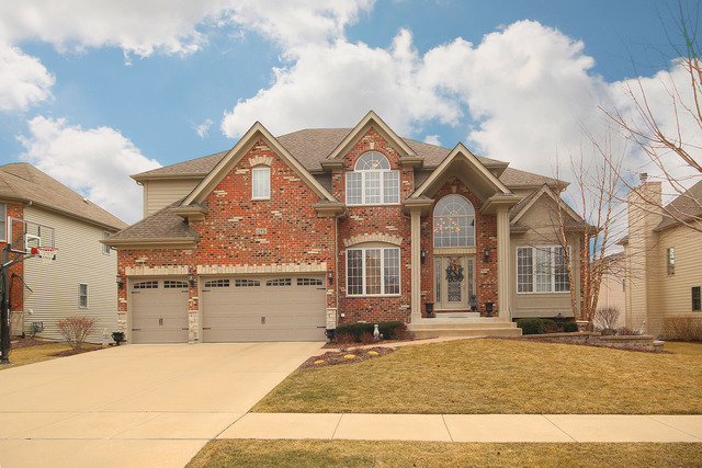 12831 Skyline Dr, Plainfield, IL 60585 photo 1