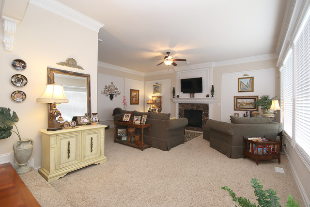 12831 Skyline Dr, Plainfield, IL 60585 photo 9