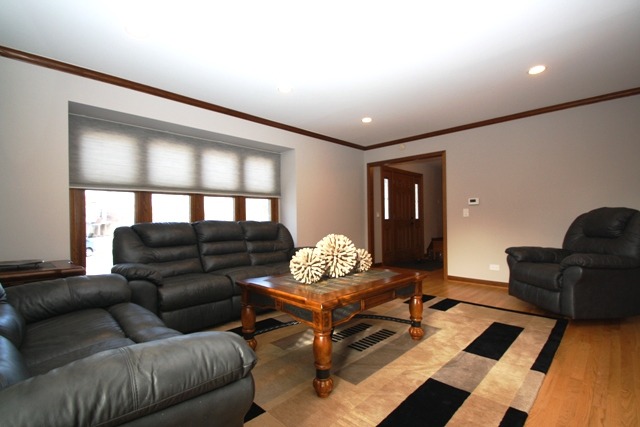 313 E Beech Dr, Schaumburg, IL 60193 photo 3