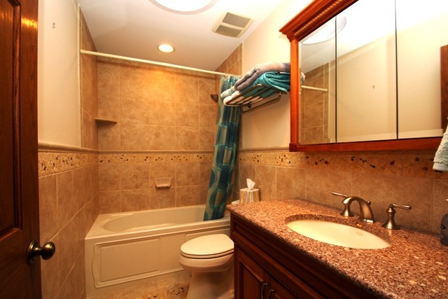 313 E Beech Dr, Schaumburg, IL 60193 photo 20