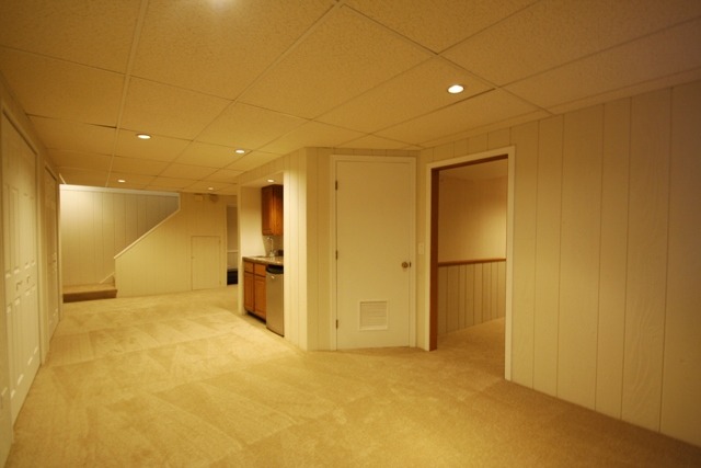 313 E Beech Dr, Schaumburg, IL 60193 photo 21