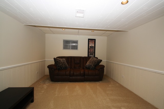 313 E Beech Dr, Schaumburg, IL 60193 photo 23