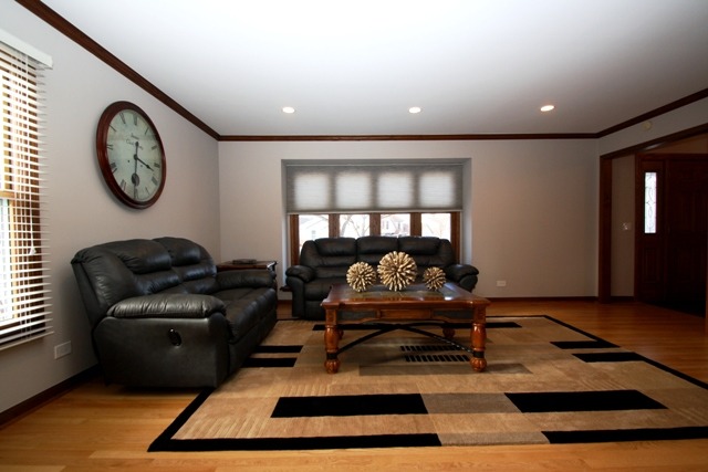 313 E Beech Dr, Schaumburg, IL 60193 photo 2