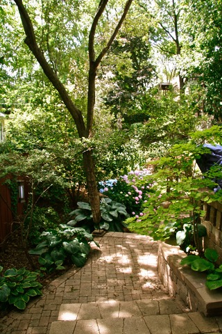 1415 E 54th St, Chicago, IL 60615 photo 24