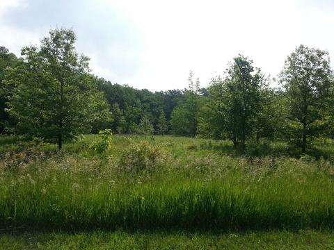 2722 E 1959th Rd, Ottawa, IL 61350 photo 1