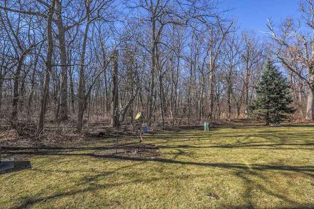 2535 Oak Tree Ln, Plainfield, IL 60586 photo 17