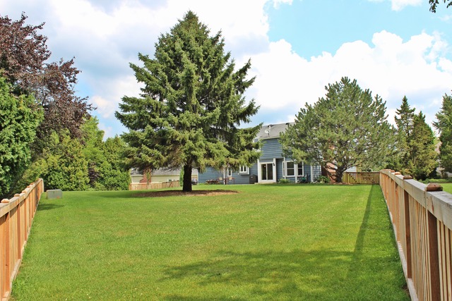 775 Sprucetree Ln, Algonquin, IL 60102 photo 20