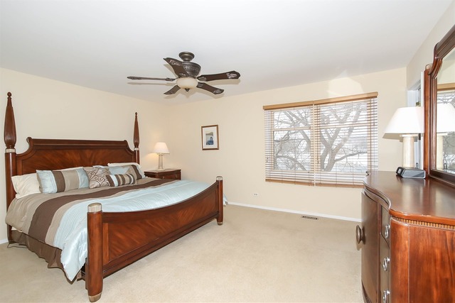1120 Dresden Dr, Hoffman Estates, IL 60192 photo 13