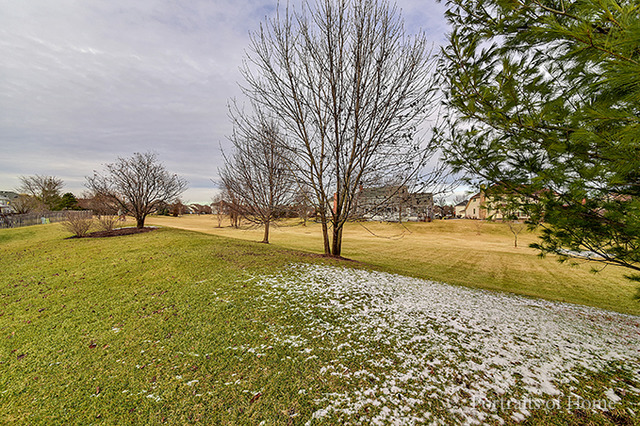 1976 Lisson Rd, Naperville, IL 60565 photo 24