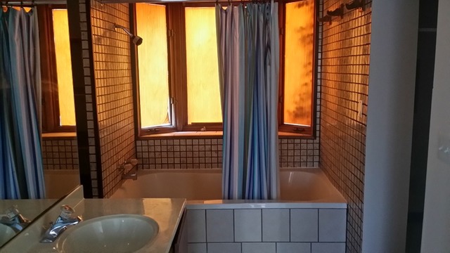 629 W 56th St, Hinsdale, IL 60521 photo 8