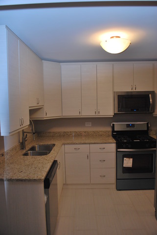 4659 W 84th Pl, Chicago, IL 60652 photo 19