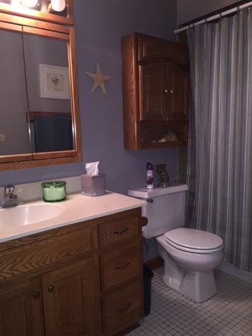 1220 Meadow Ln, Elgin, IL 60123 photo 23