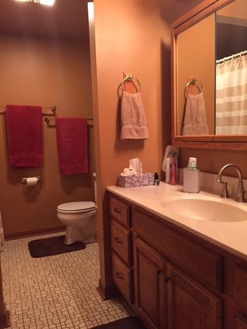 1220 Meadow Ln, Elgin, IL 60123 photo 20