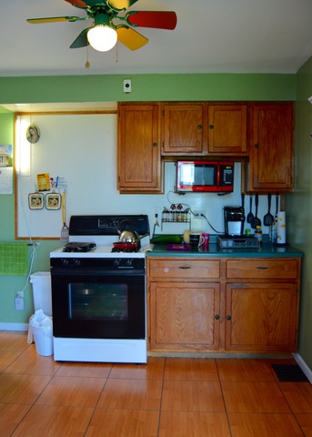 411 Prospect St, Elgin, IL 60120 photo 9