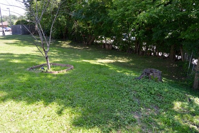 411 Prospect St, Elgin, IL 60120 photo 17