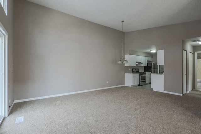 1804 Appaloosa Dr, Naperville, IL 60565 photo 10