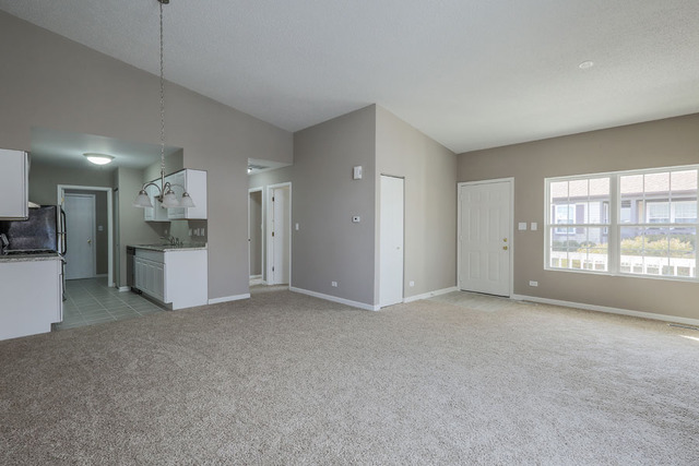 1804 Appaloosa Dr, Naperville, IL 60565 photo 4