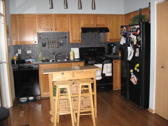 4209 Dillon St, Plano, IL 60545 photo 5