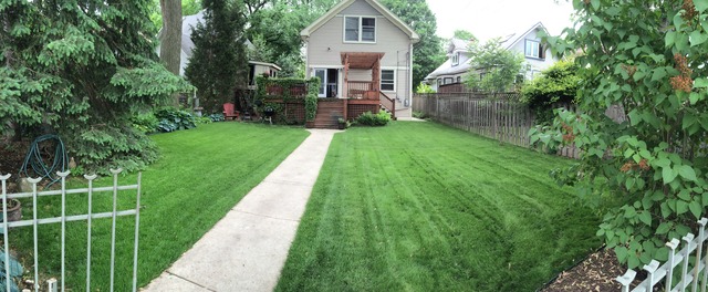 211 Park Ave, River Forest, IL 60305 photo 24