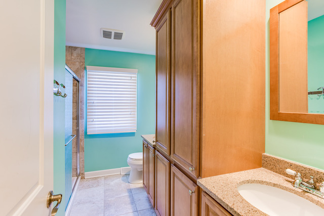 2 S449 White Birch Ln, Wheaton, IL 60189 photo 19