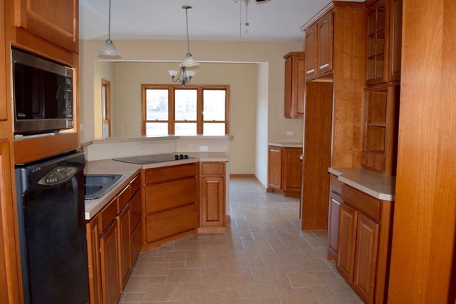 604 E Nerge Rd, Roselle, IL 60172 photo 3