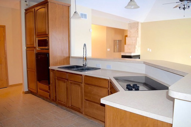 604 E Nerge Rd, Roselle, IL 60172 photo 5