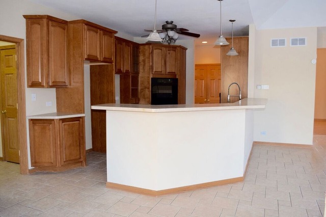 604 E Nerge Rd, Roselle, IL 60172 photo 4