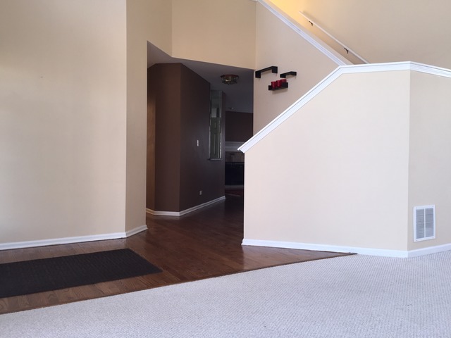 331 Tallgrass Dr, Bartlett, IL 60103 photo 4