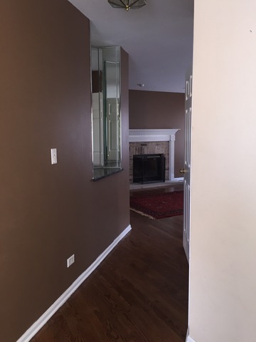 331 Tallgrass Dr, Bartlett, IL 60103 photo 6
