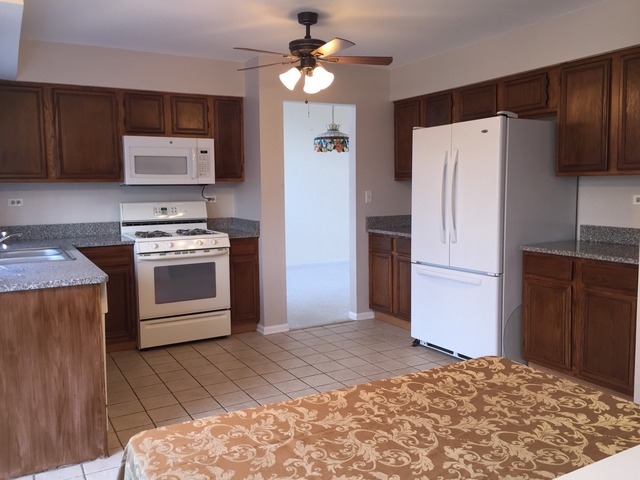 331 Tallgrass Dr, Bartlett, IL 60103 photo 9