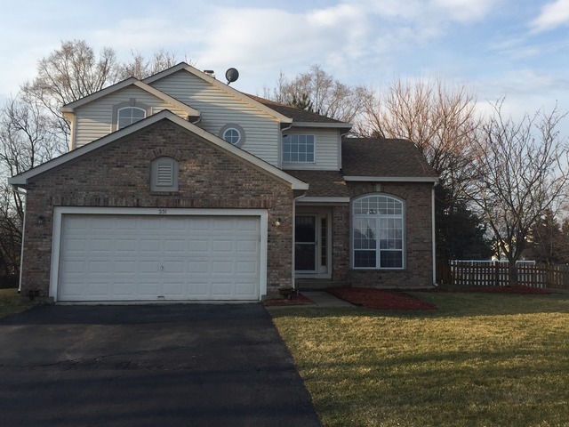 331 Tallgrass Dr, Bartlett, IL 60103 photo 1