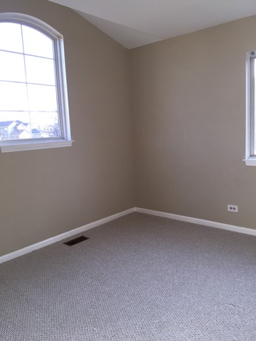 331 Tallgrass Dr, Bartlett, IL 60103 photo 15