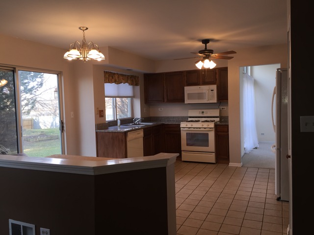 331 Tallgrass Dr, Bartlett, IL 60103 photo 8
