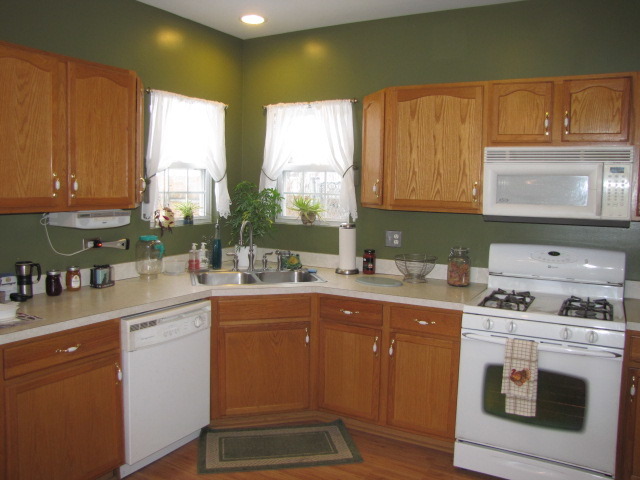 512 Chestnut Ln, Peotone, IL 60468 photo 13