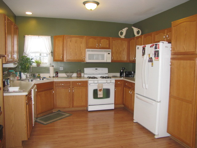 512 Chestnut Ln, Peotone, IL 60468 photo 12