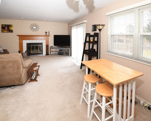 875 Blackhawk Dr, Elgin, IL 60120 photo 7