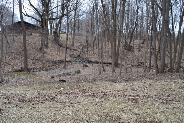 2585 E 369th Rd, Oglesby, IL 61348 photo 24