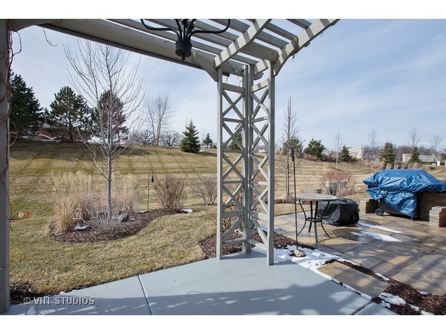 842 Cascade Falls Dr, Elgin, IL 60124 photo 20