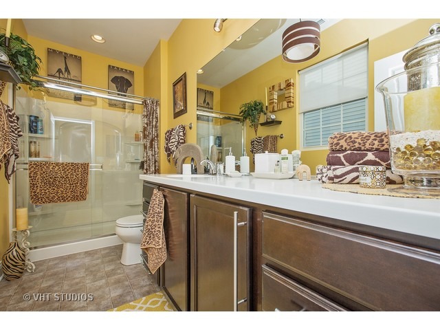 842 Cascade Falls Dr, Elgin, IL 60124 photo 12