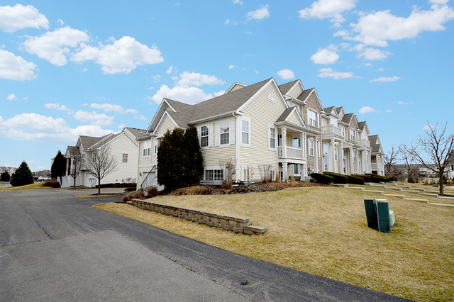 14603 Patriot Square East Dr, Plainfield, IL 60544 photo 22