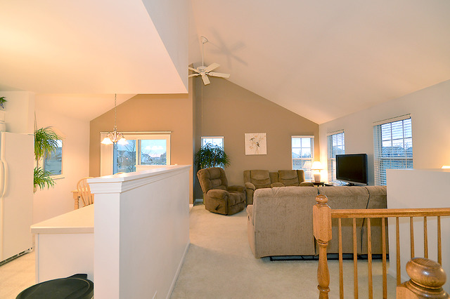 14603 Patriot Square East Dr, Plainfield, IL 60544 photo 4