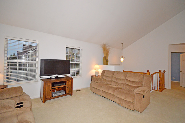 14603 Patriot Square East Dr, Plainfield, IL 60544 photo 9